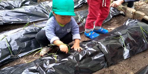 おりーぶ保育室　お庭遊び