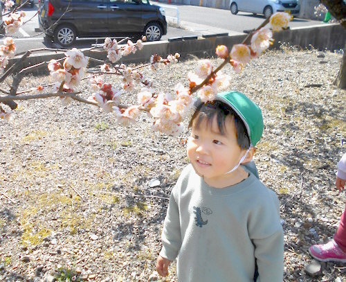 おりーぶ保育室　お散歩